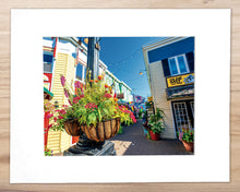Load image into Gallery viewer, Penny Lane Plants & Flowers, Rehoboth - Matted 11x14" Art Print