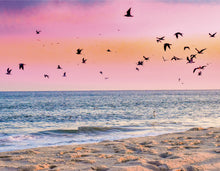 Load image into Gallery viewer, Seagulls in the Dusk, Rehoboth - Matted 11x14" Art Print
