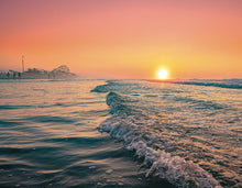 Load image into Gallery viewer, Golden Wildwood Sunrise - Matted 11x14" Art Print