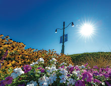 Load image into Gallery viewer, Rehoboth Springtime Plants & Flowers - Matted 11x14" Art Print
