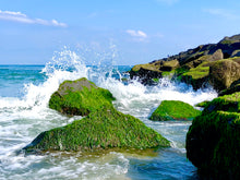 Load image into Gallery viewer, Endless Ocean Waves - Matted 11x14" Art Print