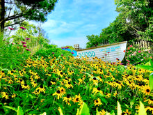 Load image into Gallery viewer, Hereford Lighthouse Gardens - Matted 11x14" Art Print