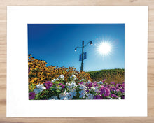 Load image into Gallery viewer, Rehoboth Springtime Plants & Flowers - Matted 11x14" Art Print
