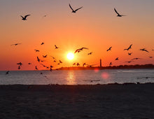 Load image into Gallery viewer, Perfect Cape May Sunset - Matted 11x14" Art Print