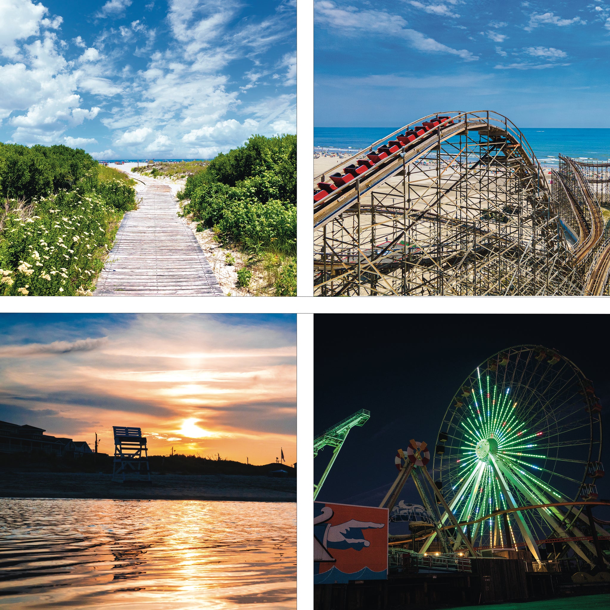 Wildwood 2024 Wall Calendar 12 beautiful scenes across the island