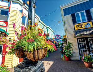 Penny Lane Plants & Flowers, Rehoboth - Matted 11x14