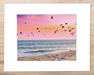 Seagulls in the Dusk, Rehoboth - Matted 11x14" Art Print