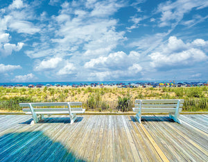 Soaking it all in, Rehoboth - Matted 11x14" Art Print