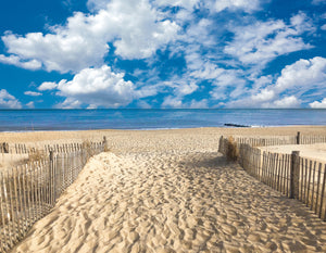 Summer Beach Awaits, Rehoboth - Matted 11x14" Art Print