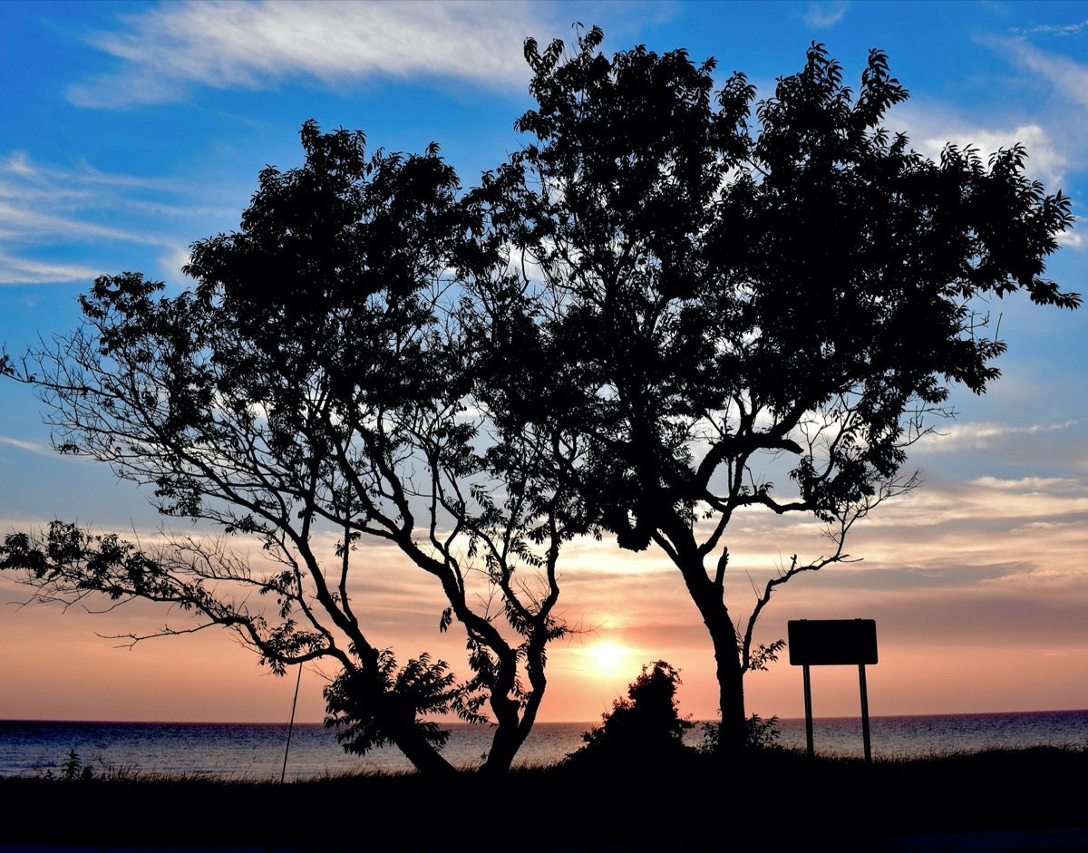 Bayside Sunset - Matted 11x14