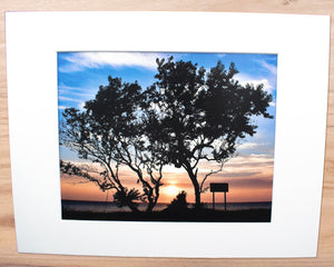 Bayside Sunset - Matted 11x14" Art Print