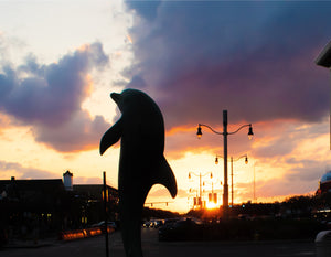 Rehoboth Dolphin Sunset - Matted 11x14" Art Print