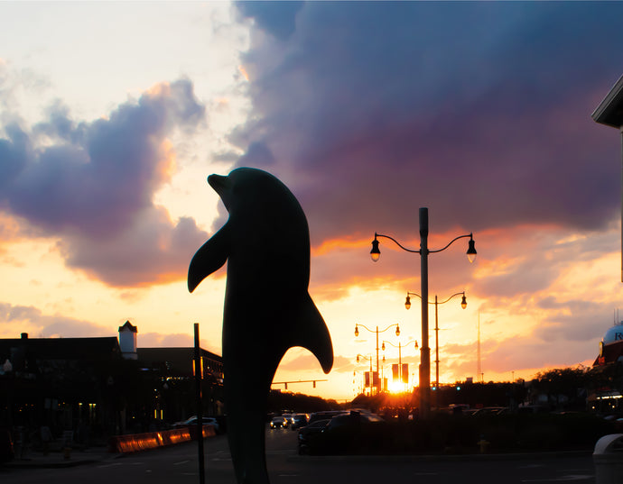 Rehoboth Dolphin Sunset - Matted 11x14