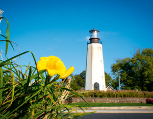 Rehoboth Lighthouse - Matted 11x14" Art Print