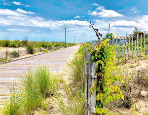 Rehoboth Boardwalk Stroll - Matted 11x14" Art Print