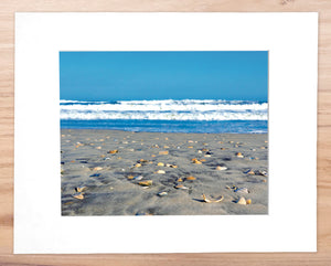 Walking by the Sea - Matted 11x14" Art Print