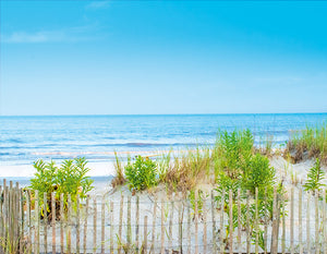 Dune Sea Breeze - Matted 11x14" Art Print