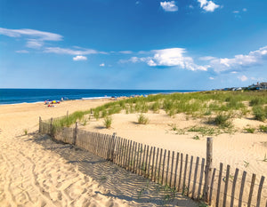 Perfect Rehoboth Beach Day - Matted 11x14