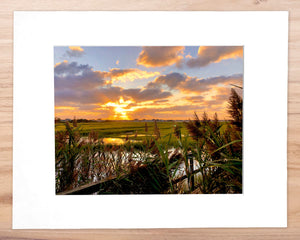 Bay Breeze Sunset - Matted 11x14" Art Print