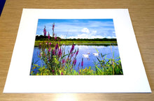 Load image into Gallery viewer, Cape May Point Nature - Matted 11x14&quot; Art Print