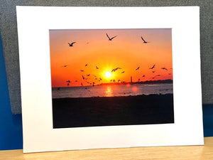 Perfect Cape May Sunset - Matted 11x14" Art Print