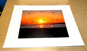 Perfect Cape May Sunset - Matted 11x14" Art Print