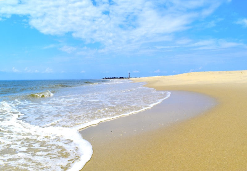 Take Me to the Beach! - Matted 11x14