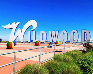 Welcome to Wildwood - Matted 11x14" Art Print